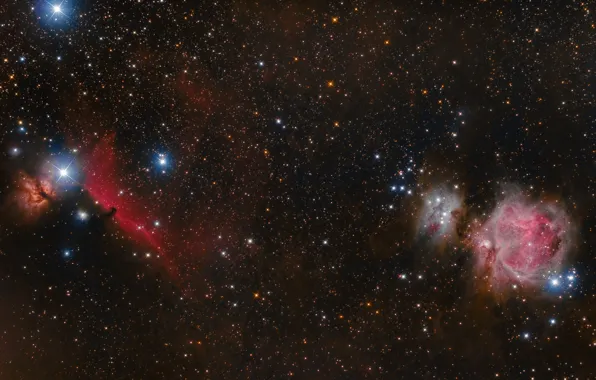 Space, stars, Horse Head