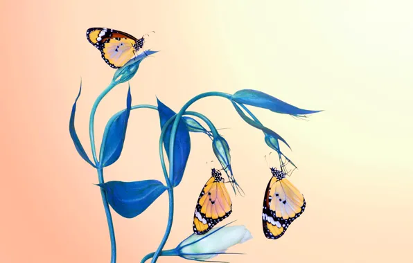 Leaves, macro, butterfly, flowers, insects, three, trio