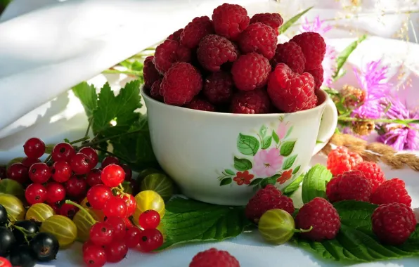 Berries, gooseberry, Raspberry, red currant, vkusnota