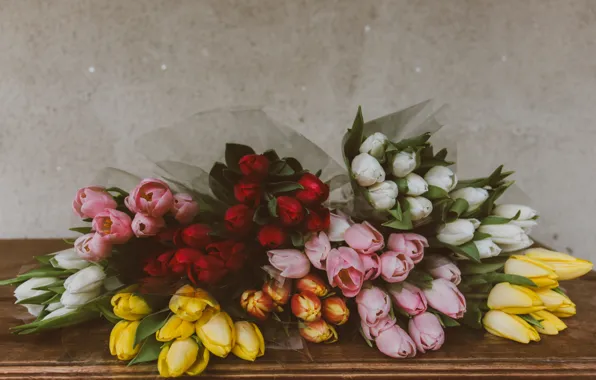 Colors, tulips, bouquet