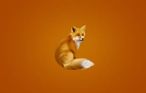 Fox, tail, orange background, fox, fluffy