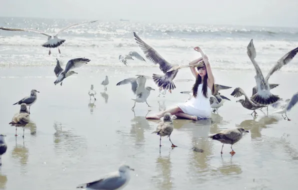 Picture sea, girl, birds