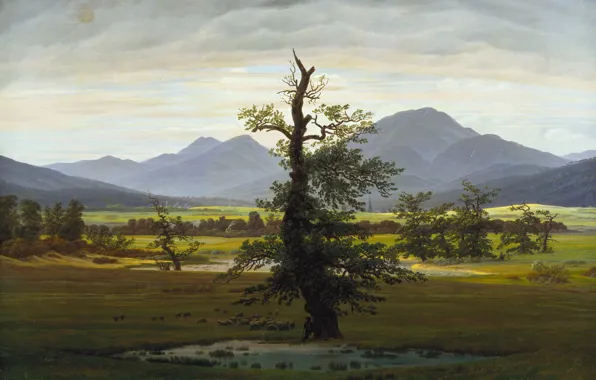 Landscape, nature, picture, Caspar David Friedrich, Lonely Tree