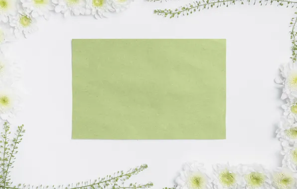 Flowers, Paper, Chrysanthemum