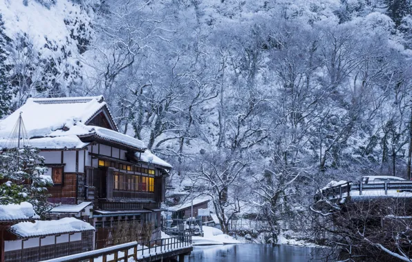 Winter, trees, house, river, Japan, the building, Forest