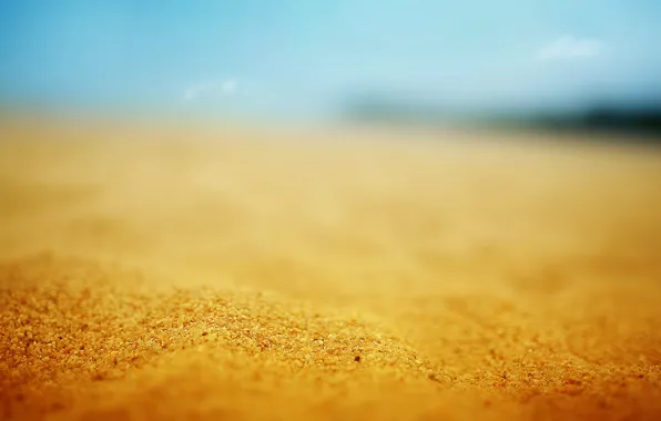 Sand, beach, the sun, macro, stay