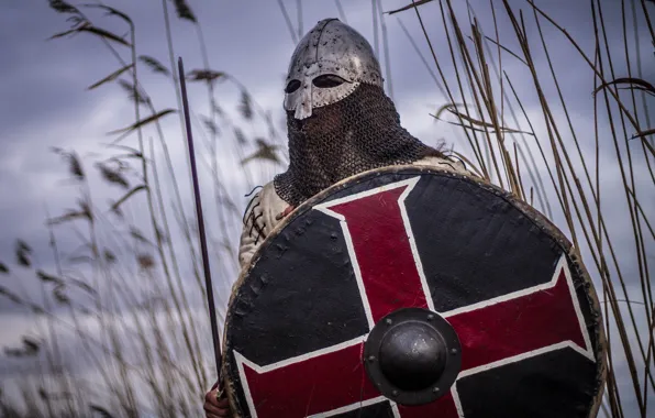 Picture sword, warrior, helmet, shield, mail, Viking