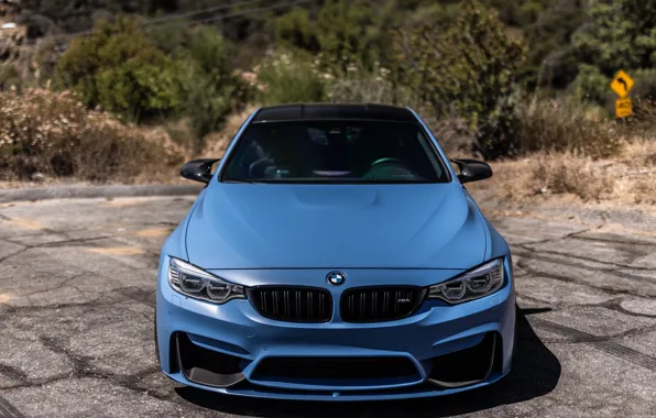 Picture BMW, Blue, F83