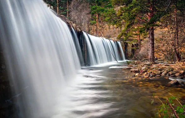 Picture forest, river, waterfall