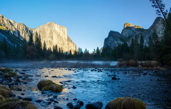 Trees, stones, rocks, CA, USA, river, Yosemite national Park, Yosemite National Park