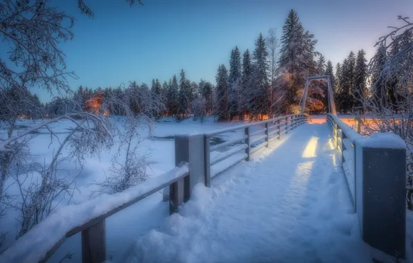 Winter, forest, bridge, river, Finland