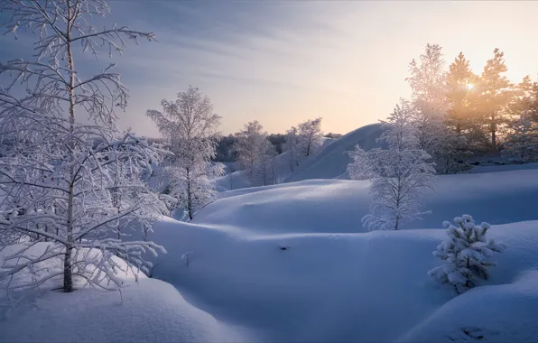 Winter, snow, trees, the snow, Russia, Alexey Bagaryakov