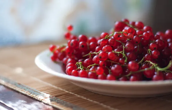 Macro, saucer, Red currants