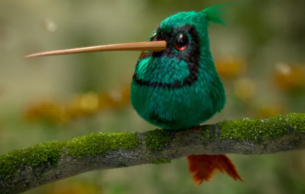 Art, bird, Hummingbird, children's, Cristian Bolivar