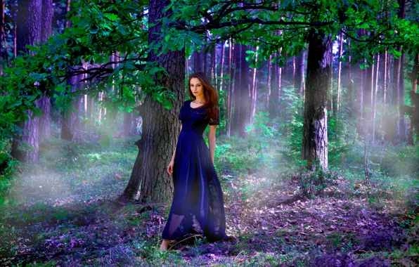 Picture Purple, Wood, Model, Nastya, Dress, Leaves, Mystery