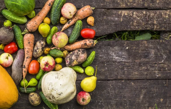 Autumn, harvest, Vegetables