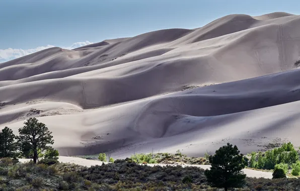 Nature, mountain, dune