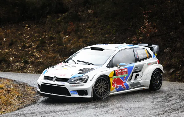 Picture Auto, Volkswagen, Speed, Turn, WRC, Rally, Polo, Overcast