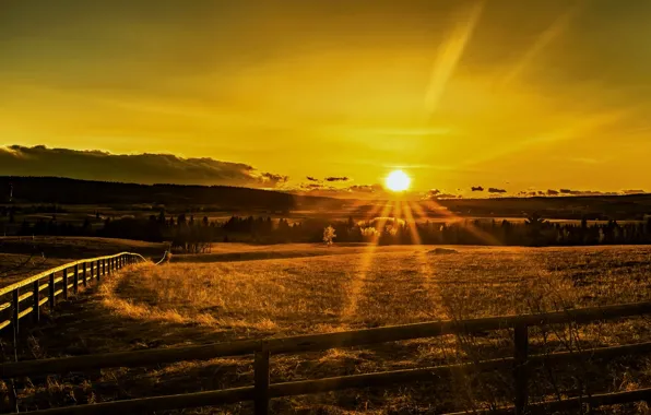 Picture field, sunset, the fence