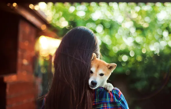 Picture girl, Dog, puppy, long hair, photo, hug, animal, brunette