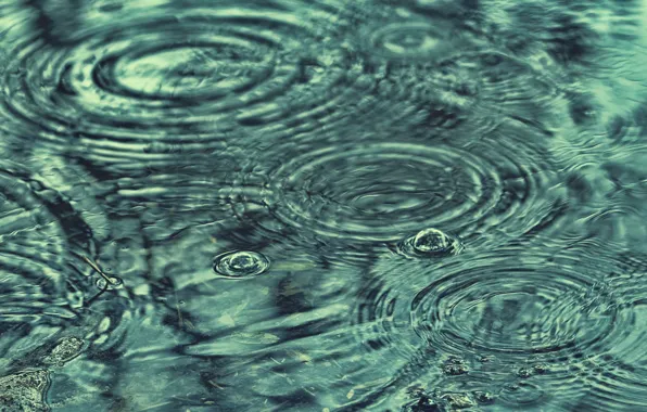Picture water, drops, rain