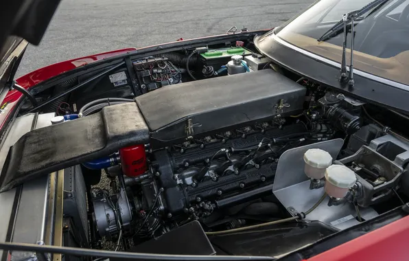 Ferrari, supercar, supercar, 1973, Daytona, Competition, the only instance, under the hood