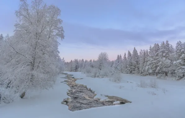 Winter, forest, snow, trees, river, Finland