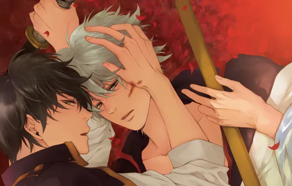 Look, katana, Gintama, cherry blossoms, Sakata Gintoki, two guys, Gintama, Hijikata Toshiro