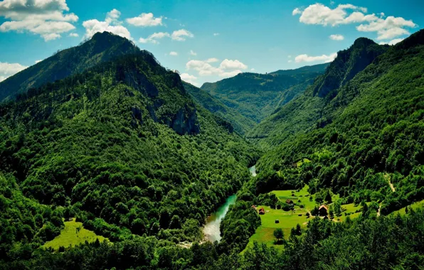 Picture mountains, river, canyon, Montenegro, Durmitor