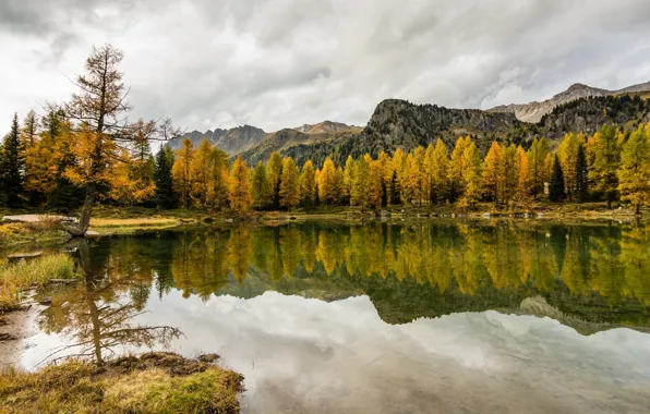 Autumn, forest, nature, lake, reflection