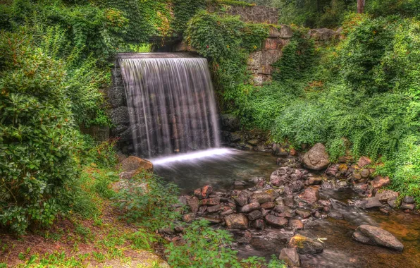 Forest, trees, Park, stones, waterfall, stream, hdr