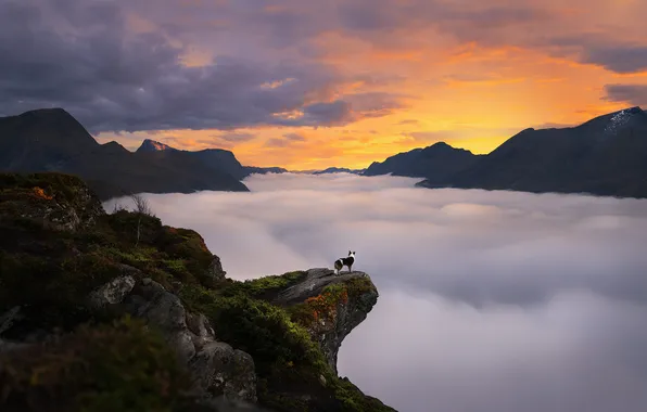 The sky, look, sunset, mountains, nature, pose, fog, open