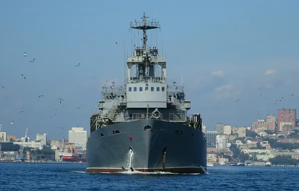 Military, Daugava, support transport