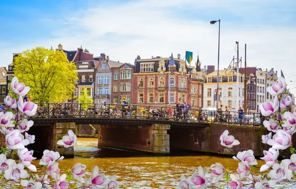Bridge, river, spring, Amsterdam, flowering, bridge, blossom, Amsterdam