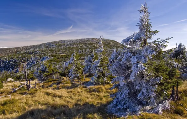 The sky, landscape, ate