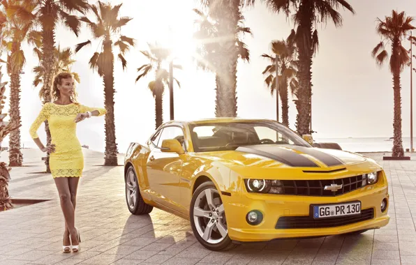 Picture girl, palm trees, Wallpaper, 2012, Chevrolet, camaro, chevrolet, wallpapers