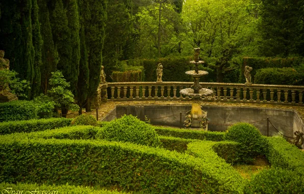 Picture trees, Villa, garden, beautiful, Italy, Italy, Tuscany, Tuscany