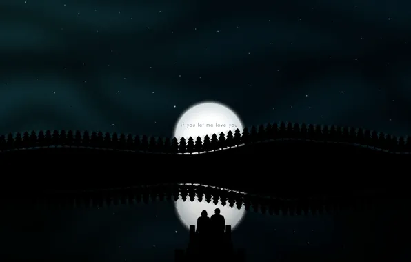 Picture night, reflection, the moon, vector, pair