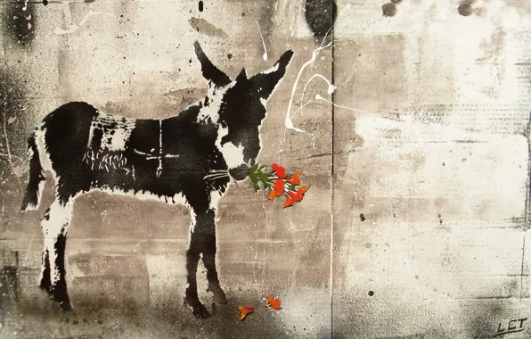 Flowers, style, picture, donkey