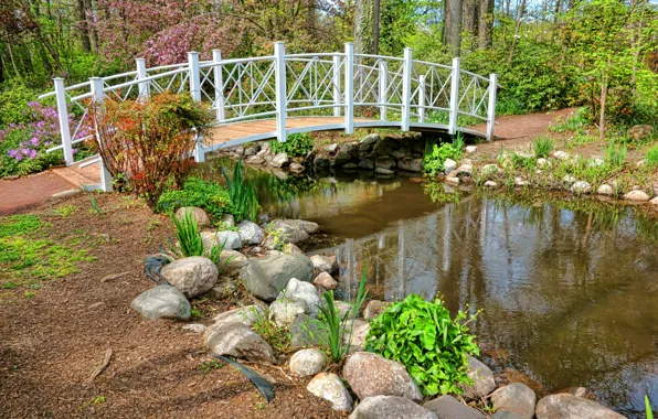 Picture photo, Nature, Bridge, Spring, Pond, Stones, Park