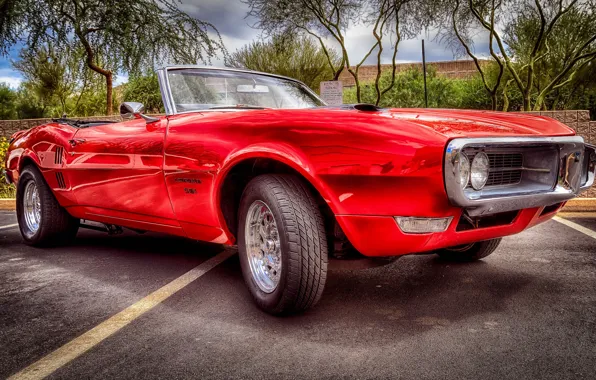 HDR, Pontiac, muscle car, Pontiac, the front, Firebird, Herbed