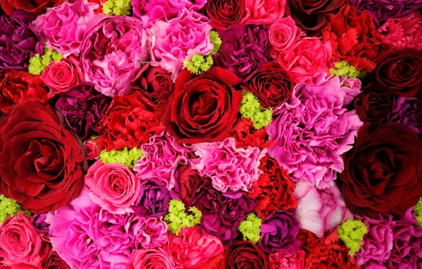 Macro, roses, bouquet, clove