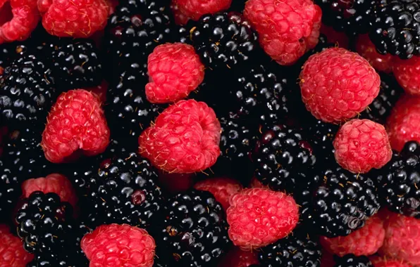 Picture berries, raspberry, ajivika