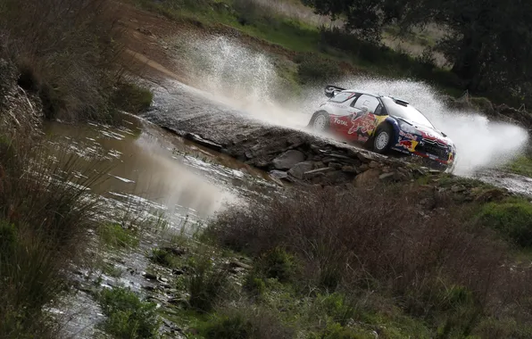 Picture Water, Sport, Citroen, Squirt, DS3, WRC, Rally, Rally