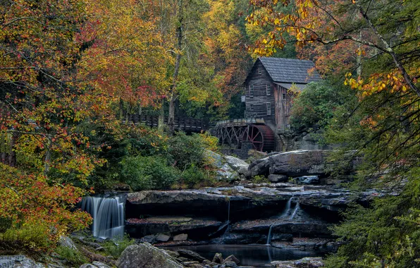 Autumn, forest, trees, house, stream, rocks, wheel, water mill