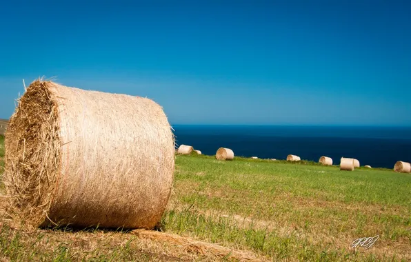 Picture Australia, landscape, pasto, rollos