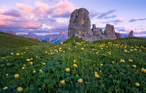 Field, clouds, flowers, mountains, stones, rocks, yellow, hill