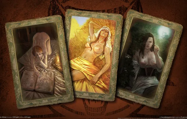Picture card, girls, the Witcher