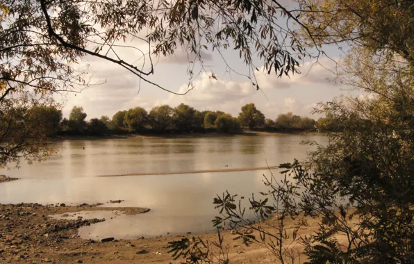 Sand, autumn, water, shore, Kuban