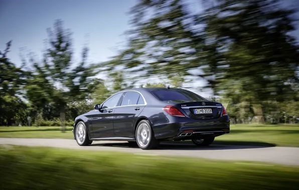 Picture road, trees, background, movement, Mercedes-Benz, blur, car, sedan